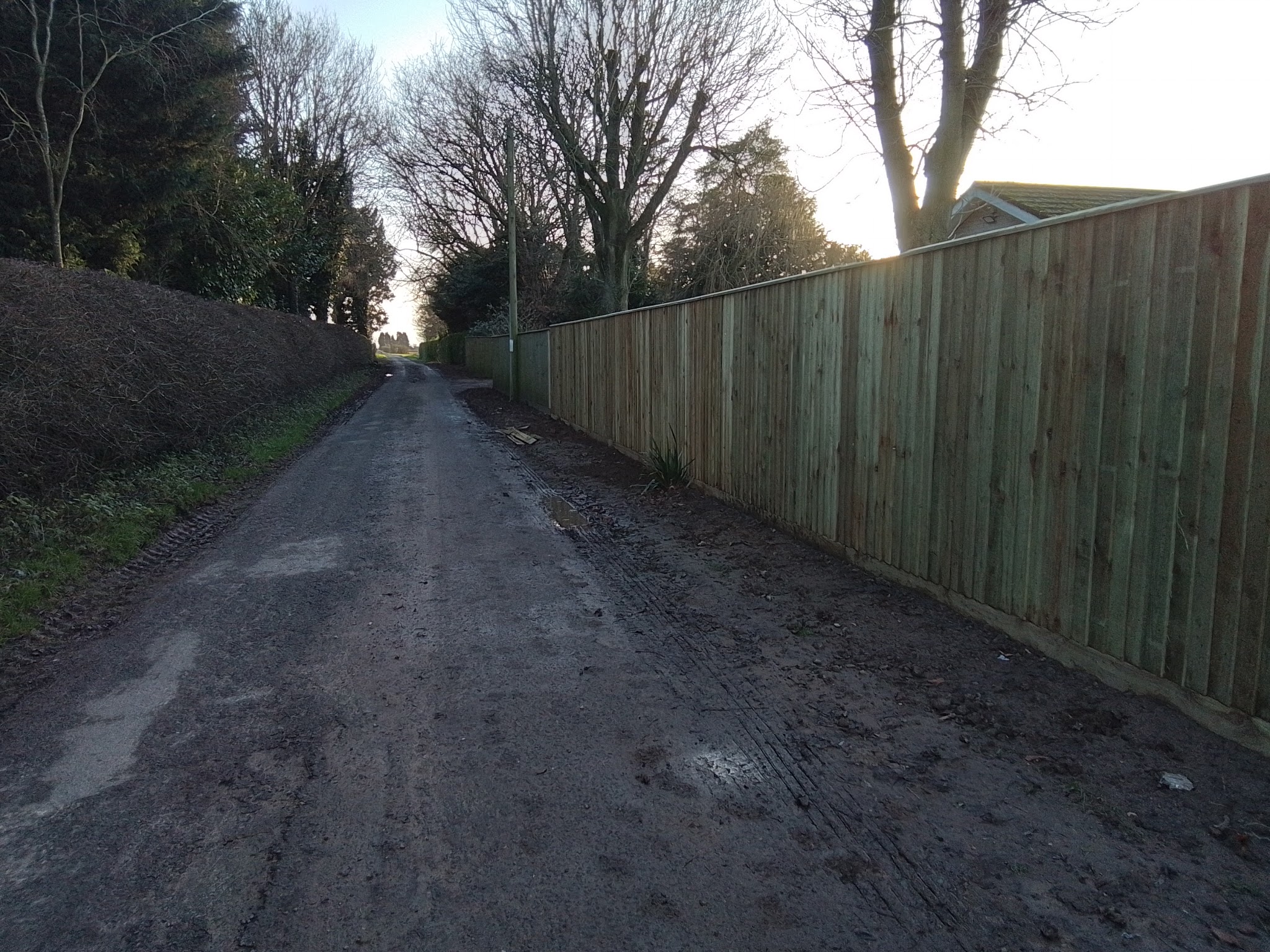 A long run of new close-board fencing beside a country lane