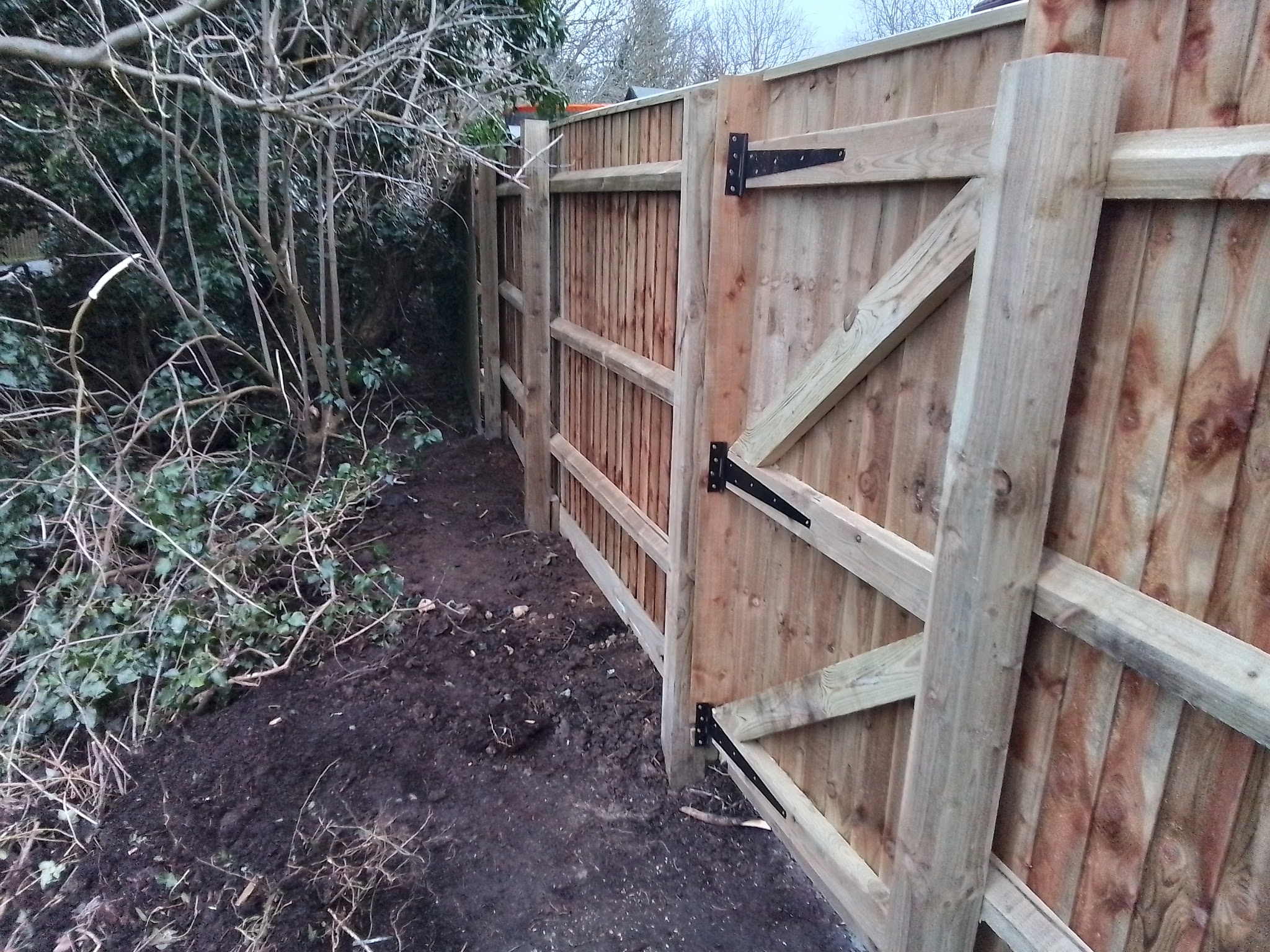 New close-board fencing with a matching ledged gate and black hinges